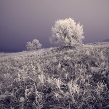 fabelhaft Winternacht / ***