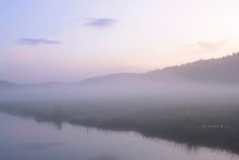 Nebel / ***