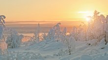 Gold-Winter / ***