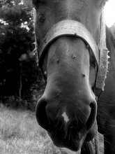 die weichste Stelle) / ***