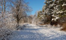 winter way / first day of 2012
