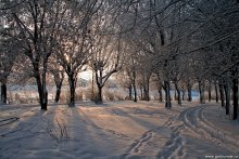 Ein Spaziergang im Park / ***