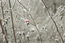 Loneliness / ***