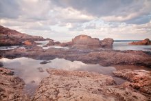 Wild Beach. / ***