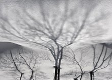 Snowy Baum / ===