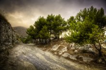Foggy road / ***