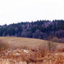 Farben des Winters / ***