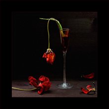 Meine Carmen / ***