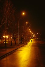 Christmas Evening (Mosyr) / ***