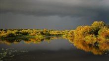 Vor dem Sturm / -----------