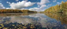 Autumn Thema / ***