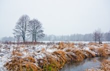 der Januar- / ................