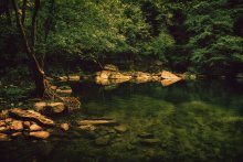 _ripples_ / *****