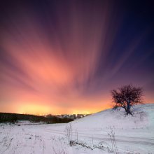 Glanz / ******