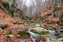 Fluss Ulu - Uzen. / ***