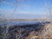 Frost / ,,,,,,,,,,,,,,,,,,,