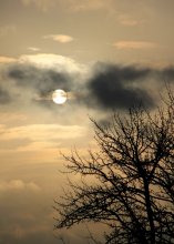 "Der Beginn des Tages" / ...