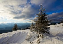 Kälte im Winter ... / ***