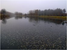 Schwamm Herbst / ---------