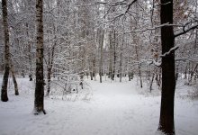 Winter-Grove ... / http://www.youtube.com/watch?v=fSXhvRQ9glY&feature=related