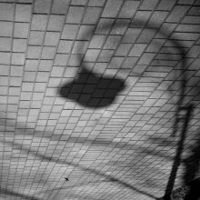 ein leichter Schatten .... / ***