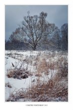 Die Januar-Landschaft / ***