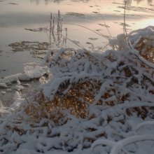 Winter Morgen / ***