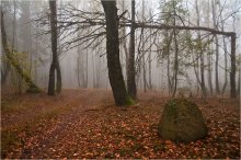 Tief im Herbst / ***