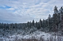 Bereits im Winter) / -------