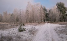 Die Januar- / ____________________*