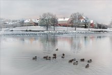 Winter Morgen / -------
