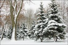 Gemalt im Winter / ***