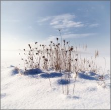 Zu gelangen ... / *************