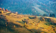 Landschaft mit einem Pferd ...... / ***