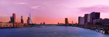 Ein purpurroter Sonnenuntergang / ***
