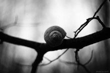 Leben als Spirale / ***