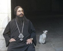 unterstützt die Zusammensetzung der Katze / ***