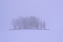 Kirchhof / ***