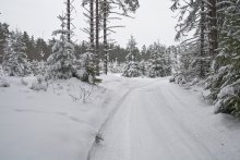 und hier kam sie - im Winter ... / ***