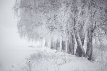 Der Winter ist in der Nähe von Minsk / ***