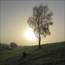 Morgen / ***