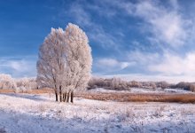 Eine einfache Skizze Winter / ***