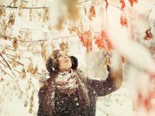der Winter / ***