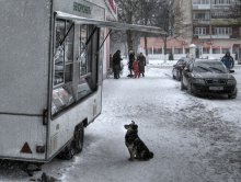 In Erwartung von 2 / ******