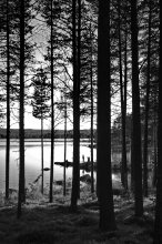 Onega Beach - 2. / ***