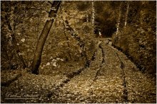 Wir trafen uns ... seltsam und komisch zerstreuen / ***