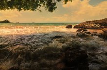 sea shade / sea shade