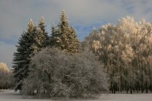 Winter Park / ***