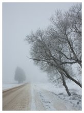 Über Bäume, Nebel und die Straße / ******