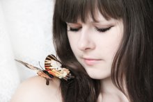Schmetterling / ***